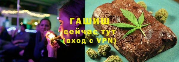 ECSTASY Богданович